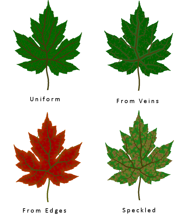 Different Leaf Texture Types