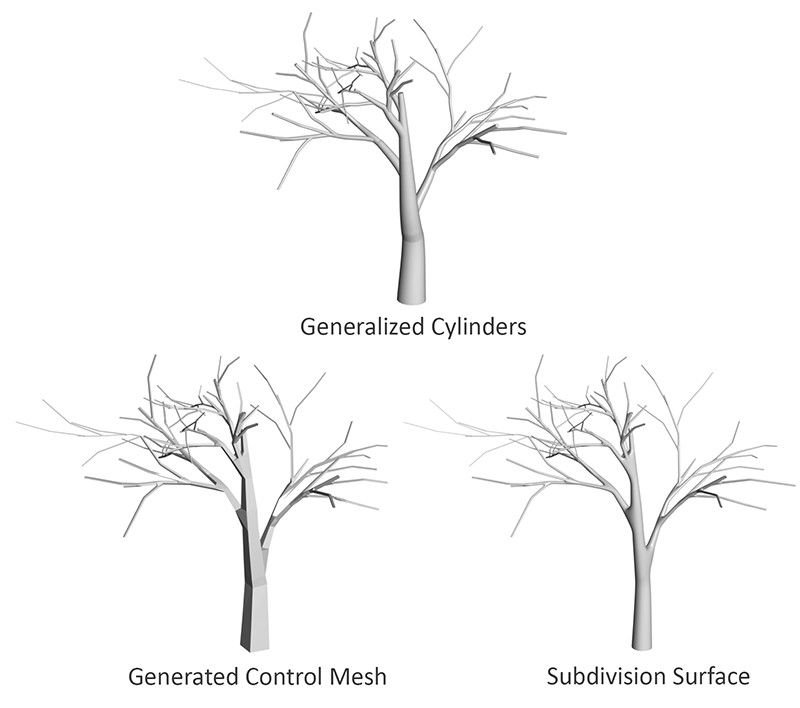 Generalized cylinder, polygon mesh, and subdivision surface, 