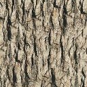 Sample bark texture 4