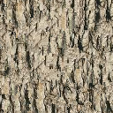 Synthesised bark texture 4