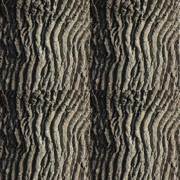 A tiled bark texture with seams