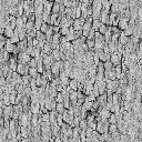 Synthesised bark texture 2